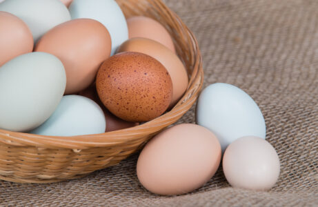 Are Eggs Good for You? Incorporating Eggs into a Healthy Diet Image